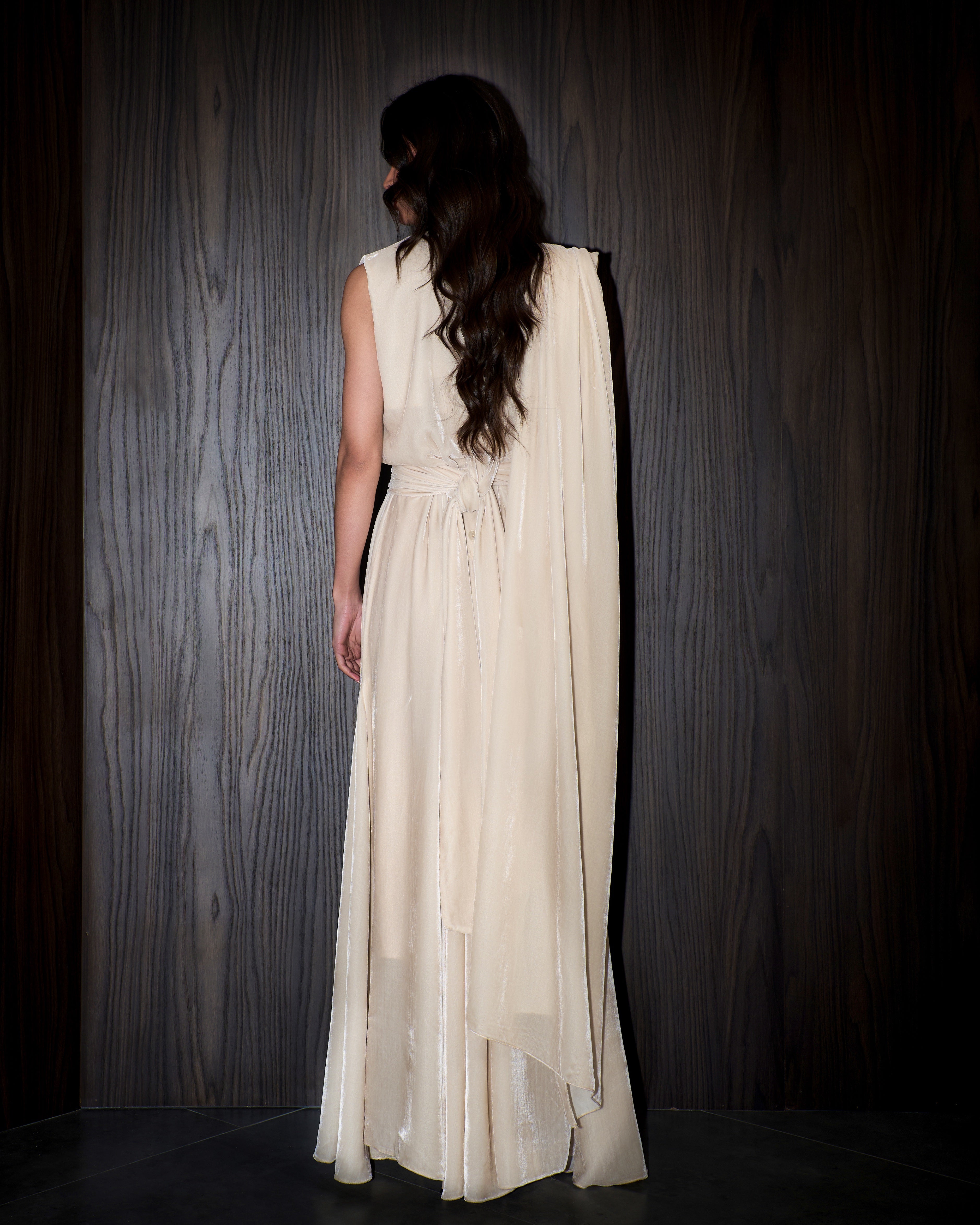 Lily velvet dress