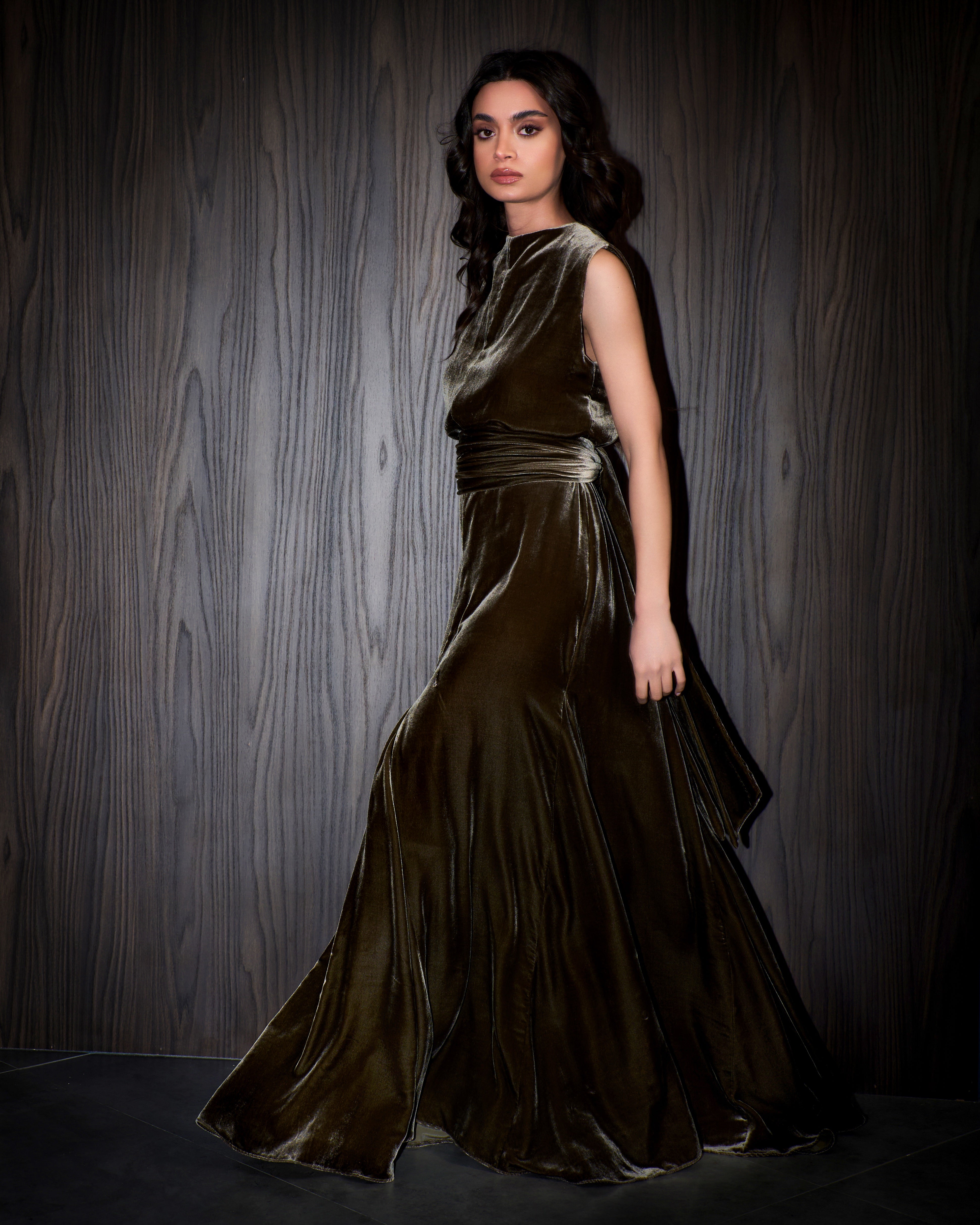 Lily velvet dress